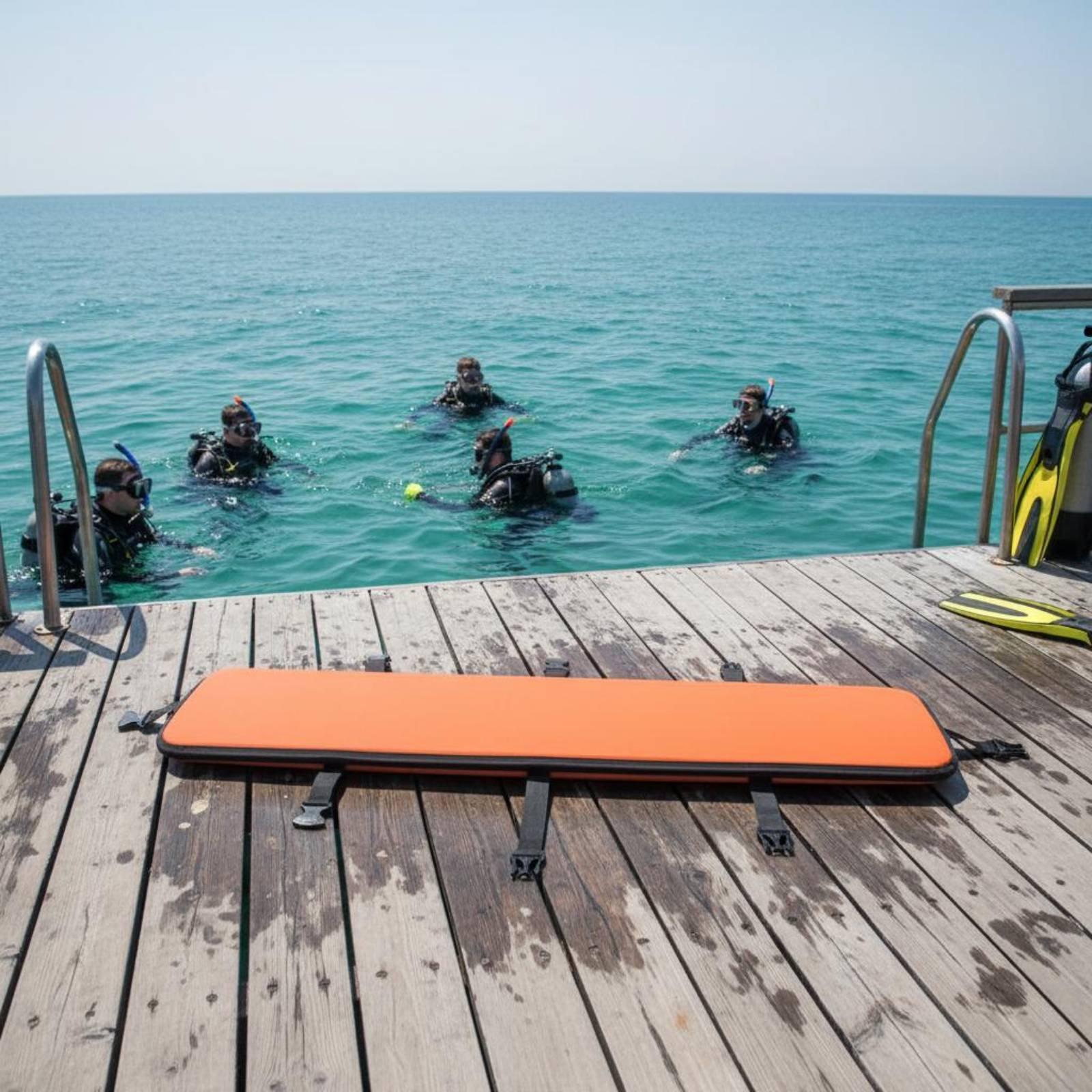 ダイビングフィンキャリア 防水メッシュバッグオーガナイザー  - Swim Fins のレビューと価格